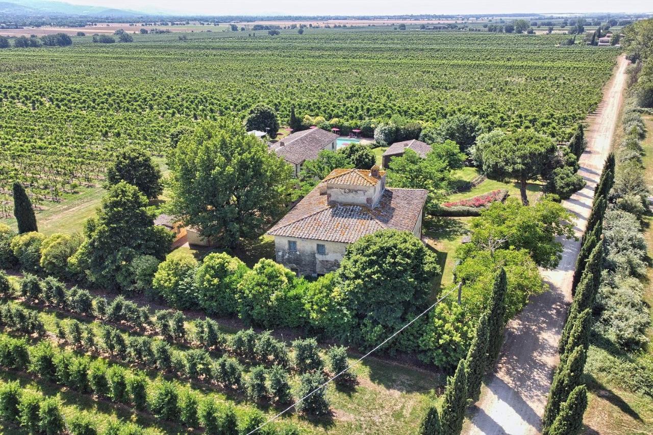 Foresteria Il Giardino Di Fontarronco Alberoro Экстерьер фото